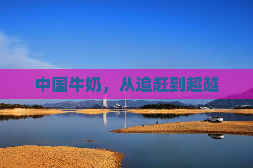 中国牛奶，从追赶到超越