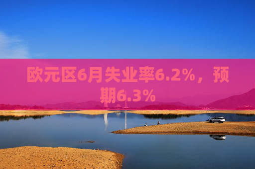 欧元区6月失业率6.2%，预期6.3%