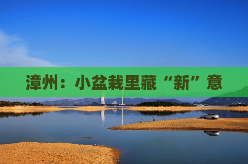 漳州：小盆栽里藏“新”意