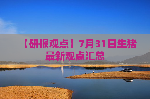 【研报观点】7月31日生猪最新观点汇总