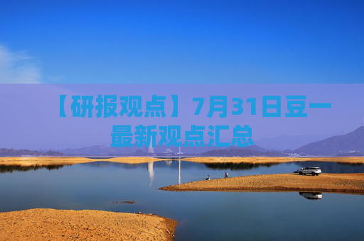 【研报观点】7月31日豆一最新观点汇总