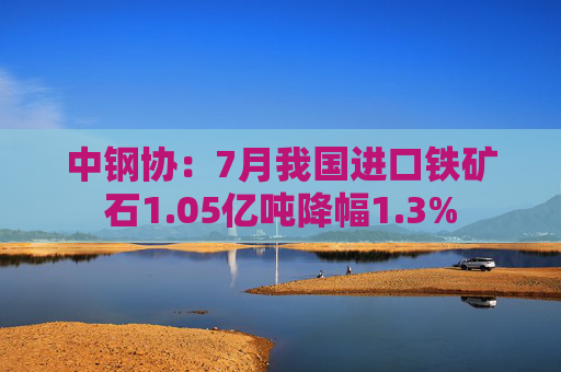 中钢协：7月我国进口铁矿石1.05亿吨降幅1.3%