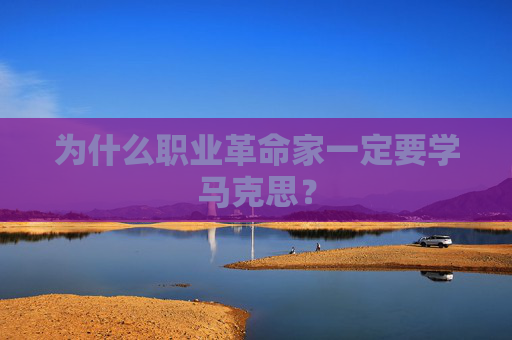 为什么职业革命家一定要学马克思？