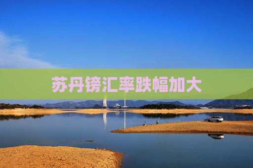 苏丹镑汇率跌幅加大