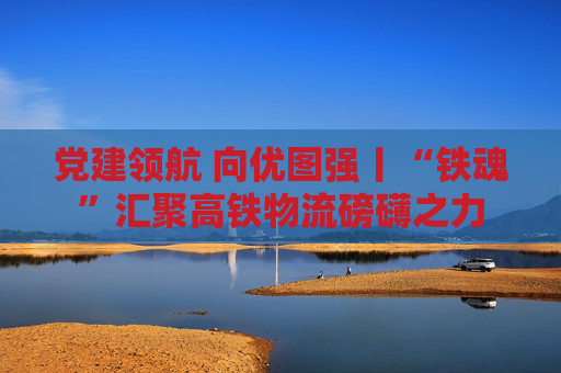 党建领航 向优图强丨“铁魂”汇聚高铁物流磅礴之力