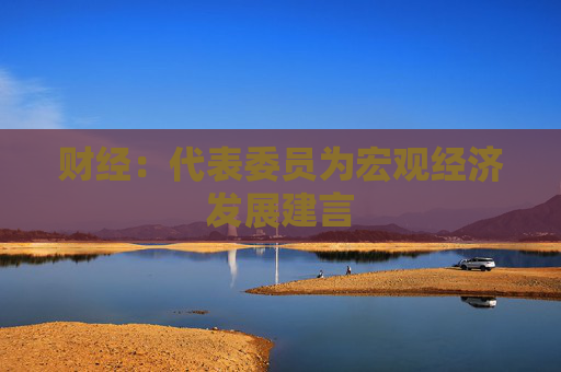 财经：代表委员为宏观经济发展建言