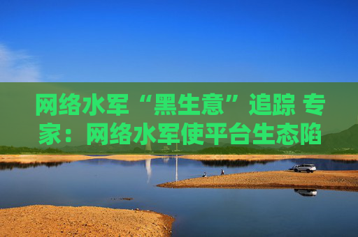 网络水军“黑生意”追踪 专家：网络水军使平台生态陷入恶性循环