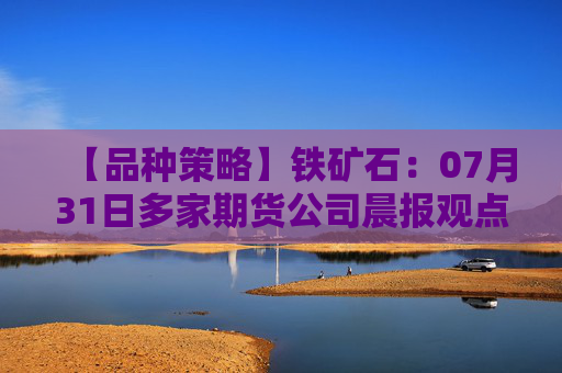 【品种策略】铁矿石：07月31日多家期货公司晨报观点汇总