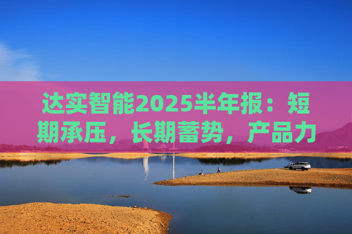 达实智能2025半年报：短期承压，长期蓄势，产品力与全球布局成增长点