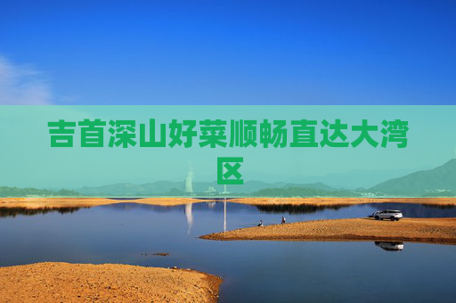 吉首深山好菜顺畅直达大湾区