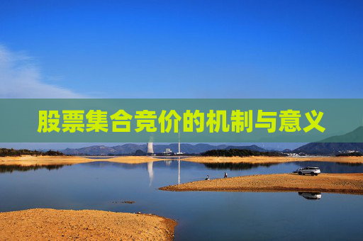 股票集合竞价的机制与意义