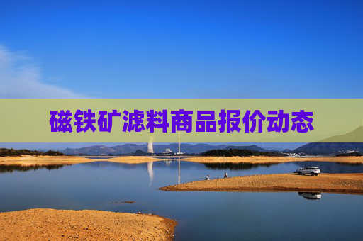 磁铁矿滤料商品报价动态
