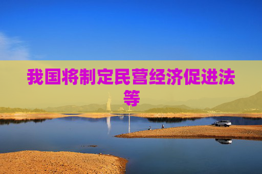 我国将制定民营经济促进法等