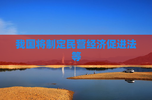 我国将制定民营经济促进法等