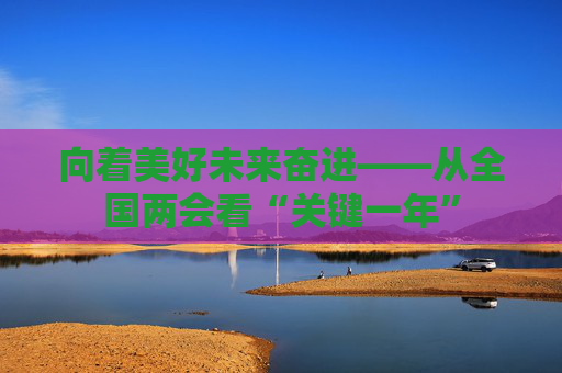 向着美好未来奋进——从全国两会看“关键一年”