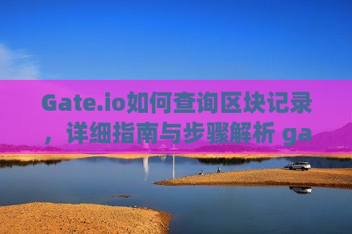 Gate.io如何查询区块记录，详细指南与步骤解析 gate.io怎么查区块记录