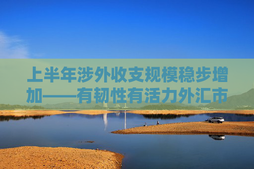 上半年涉外收支规模稳步增加——有韧性有活力外汇市场平稳运行