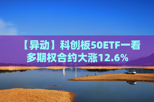 【异动】科创板50ETF一看多期权合约大涨12.6%
