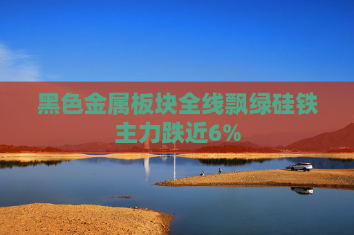 黑色金属板块全线飘绿硅铁主力跌近6%