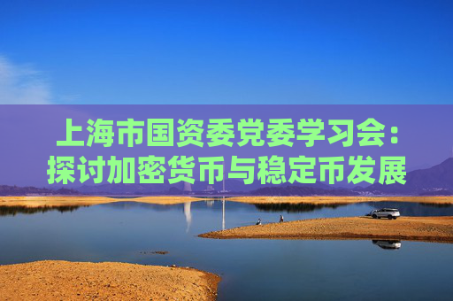 上海市国资委党委学习会：探讨加密货币与稳定币发展趋势及策略