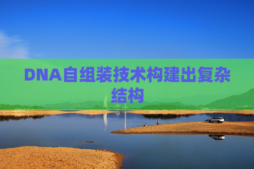 DNA自组装技术构建出复杂结构