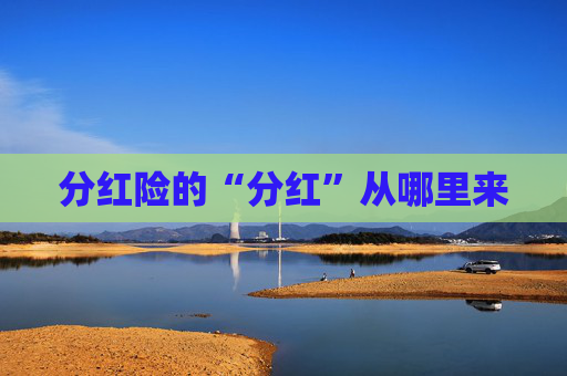 分红险的“分红”从哪里来