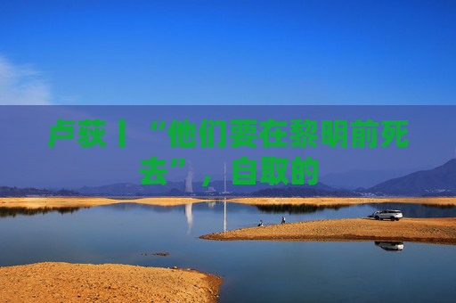 卢荻丨“他们要在黎明前死去”，自取的