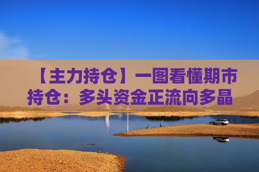 【主力持仓】一图看懂期市持仓：多头资金正流向多晶硅、菜粕、菜油等品种