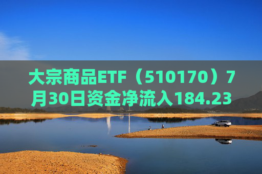 大宗商品ETF（510170）7月30日资金净流入184.23万元