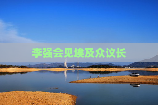 李强会见埃及众议长