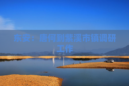 东安：唐何到紫溪市镇调研工作