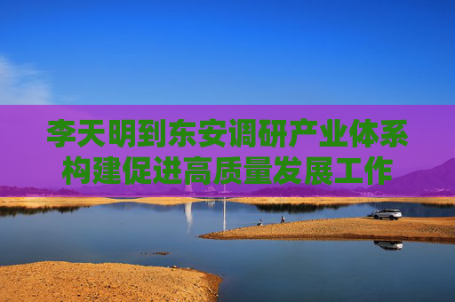 李天明到东安调研产业体系构建促进高质量发展工作