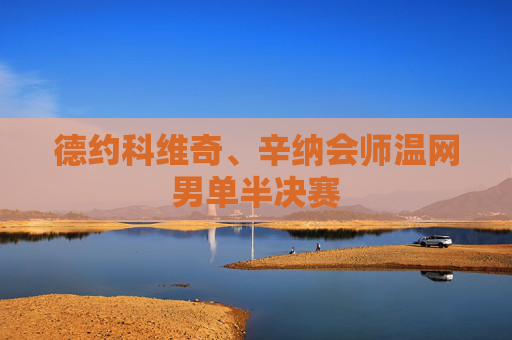 德约科维奇、辛纳会师温网男单半决赛