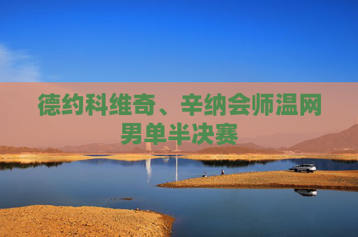 德约科维奇、辛纳会师温网男单半决赛