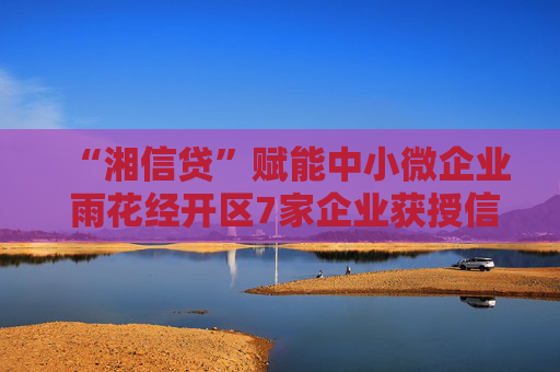 “湘信贷”赋能中小微企业 雨花经开区7家企业获授信9300万元