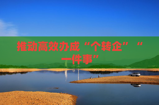推动高效办成“个转企”“一件事”