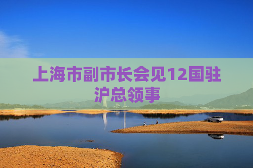 上海市副市长会见12国驻沪总领事