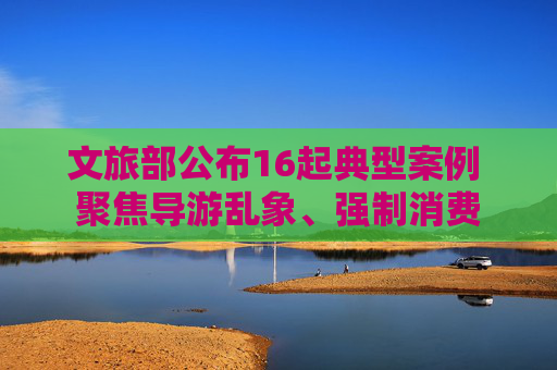 文旅部公布16起典型案例 聚焦导游乱象、强制消费