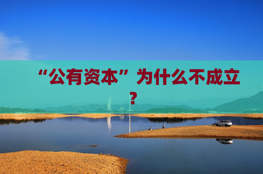 “公有资本”为什么不成立？
