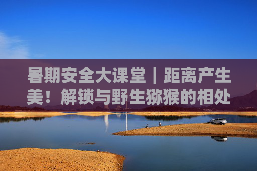 暑期安全大课堂｜距离产生美！解锁与野生猕猴的相处之道