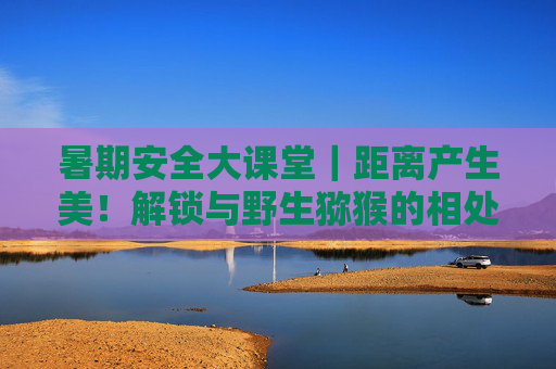 暑期安全大课堂｜距离产生美！解锁与野生猕猴的相处之道