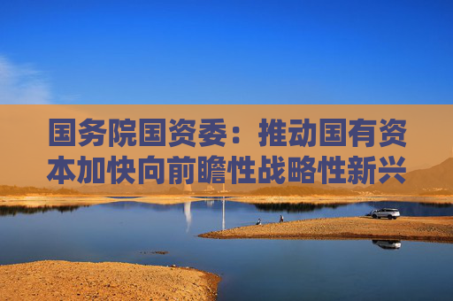 国务院国资委：推动国有资本加快向前瞻性战略性新兴产业集中