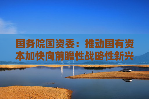 国务院国资委：推动国有资本加快向前瞻性战略性新兴产业集中