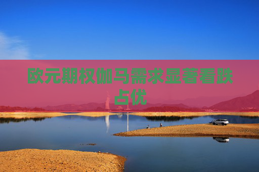 欧元期权伽马需求显著看跌占优