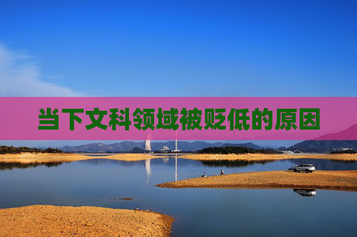 当下文科领域被贬低的原因