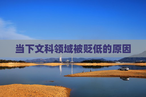 当下文科领域被贬低的原因