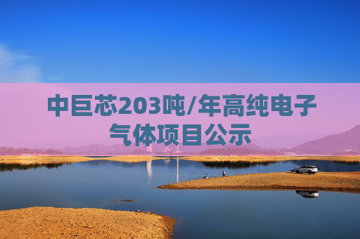 中巨芯203吨/年高纯电子气体项目公示
