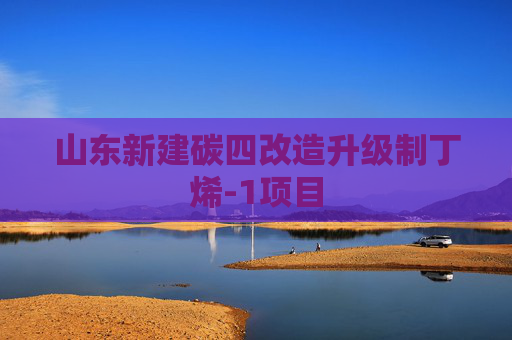 山东新建碳四改造升级制丁烯-1项目