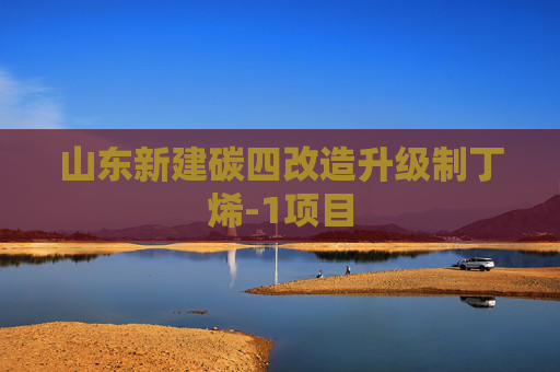山东新建碳四改造升级制丁烯-1项目