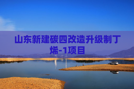 山东新建碳四改造升级制丁烯-1项目